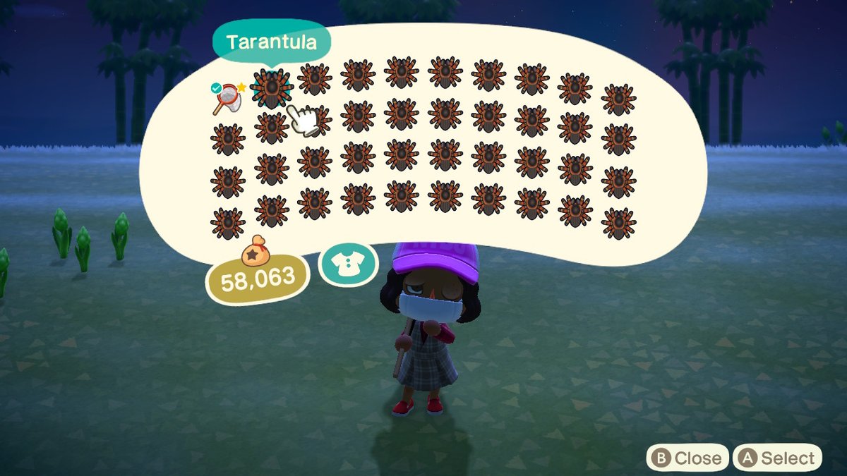 superslyNG's tweet photo. made myself a tarantula island! #AnimalCrossing #ACNH #NintendoSwitch https://t.co/8boo1xhDGn
