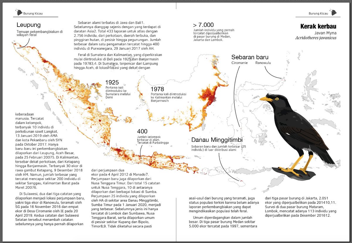 Bocoran isi #AtlasBurungIndonesia yang berisi peta dari data pengamatan yg terkumpul di #Burungnesia, data esensial lain, ilustrasi burung, serta highlight informasi sebaran baru.

Masih sabar menunggu kan?