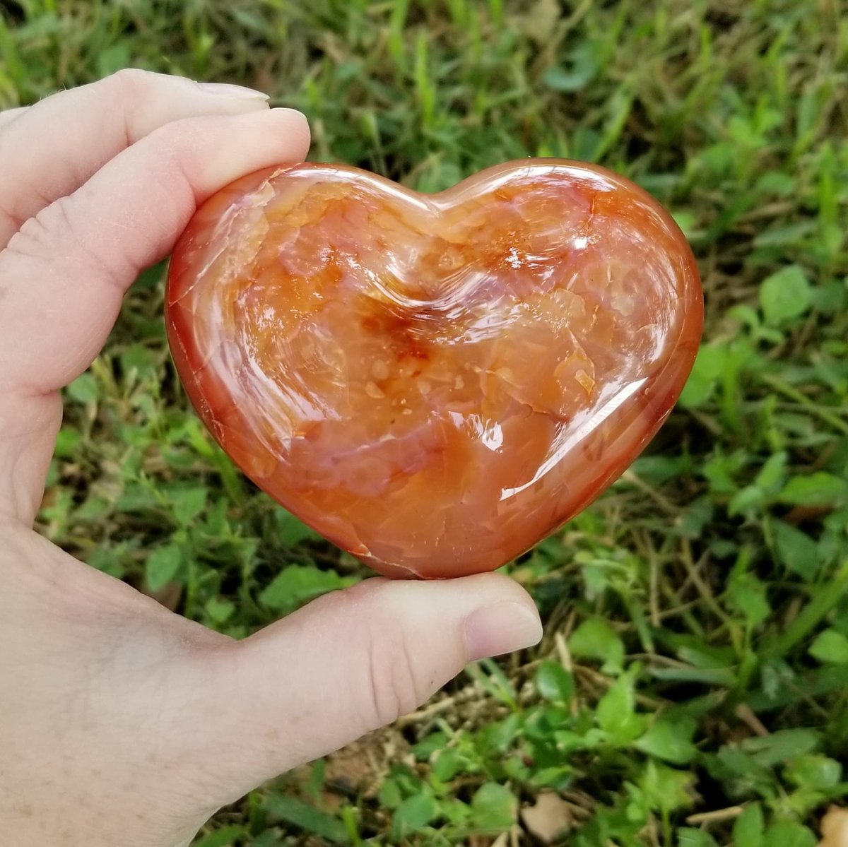 SpringSparkles2's tweet photo. Carnelian Heart, Carnelian Heart, Carnelian, 2.4 x 3.0", 212 Grams, #1  #red #white #chakra #reiki #meditation #psychic #chakrahealing #polishedheart #crystalheart https://t.co/02HpbCboOo https://t.co/YT5I5Cj6YX