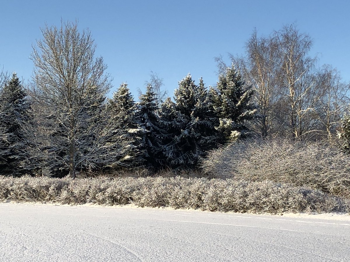 Elämäni kuvina päivä 4/7. Säännöt: Ei sanoja, ei ihmisiä. Joka päivä haastettava uusi ihminen mukaan. Kiitos haasteesta <a href="/AinoHuuhti/">Aino Huuhti🇺🇦🕊</a> Haastan@RantanenKirsi2