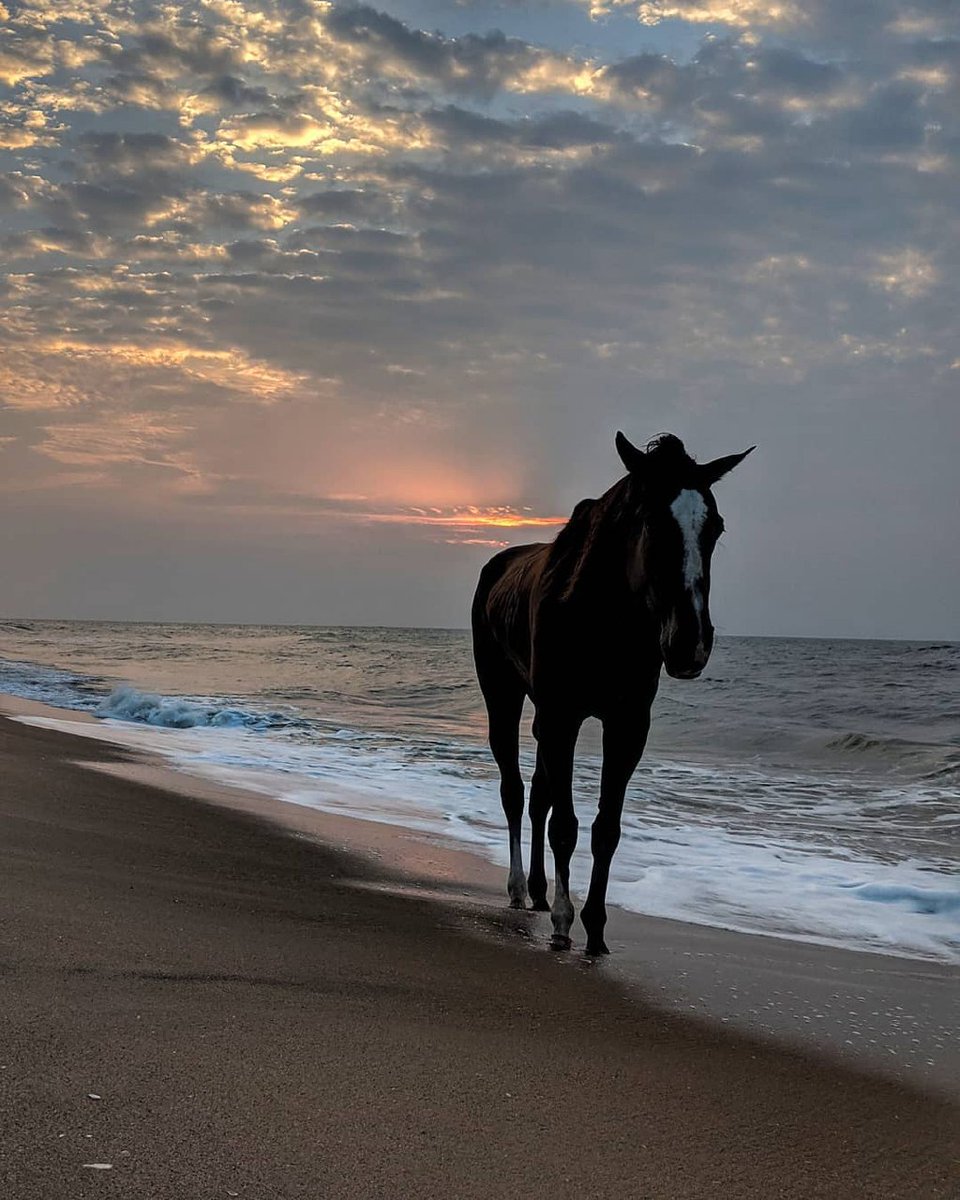 अभ्युदय प्रताप सिंह | Abhyuday Pratap Singh tweet media