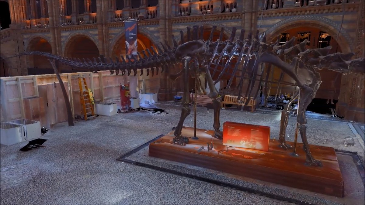 FaroAsia's tweet photo. Meet #dippythedinosaur in our 360 degree, #3Dscanned #virtualtour of the first Diplodocus skeleton ever found.  https://t.co/URAVuiQX1W https://t.co/YNokFknk7i