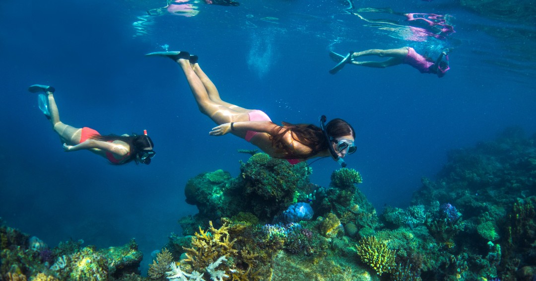 _liveaboards_'s tweet photo. Many of us can not go anywhere right now, so why not start planning for when you can?! Check  out our destinations page for some ideas 👇🏻👇🏻

🌐 https://t.co/wcy93G1wzv
📧 info@all4divingliveaboards.com
📱 +62 811-3999-647 (WhatsApp)

#holiday #divesite #liveaboard https://t.co/pWPF3JLcAp