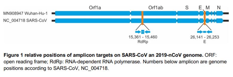 That is the level of detailing Science has to undertake. Zeroing in on the precise markers within a 30 Kilobase genome length, to isolate what defines SARS-COV-2.But yeah! Bang thalis since all this is hocus-pocus [yes, i have heard such "science-is-a-belief accusations too]