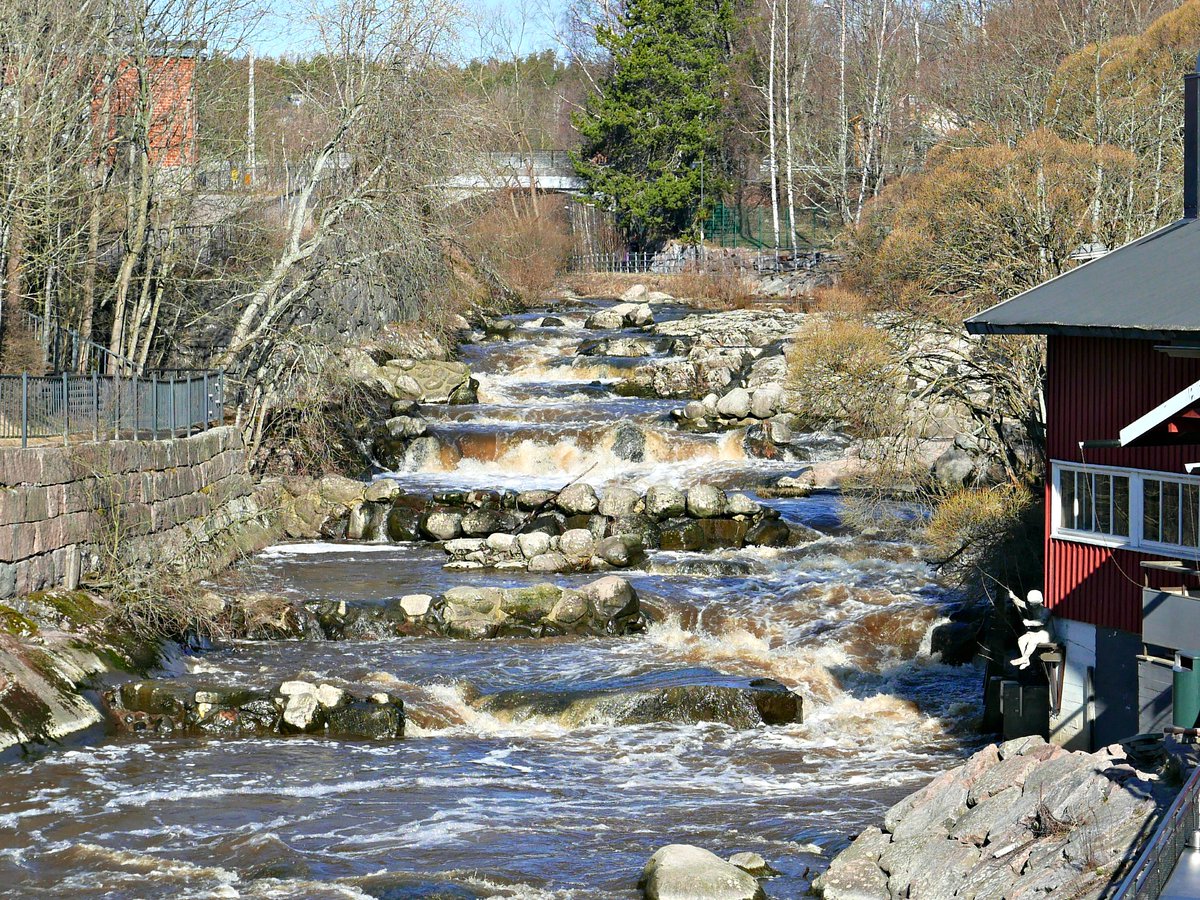 psuurone's tweet image. The River #Vantaajoki empties into the Gulf of Finland at the City of #Helsinki. The rapids restoration projects have created improved conditions for #MigratoryFish. #Salmon and #seatrout can now rise up to the headwaters and have begun to reproduce naturally. - Fish way in work.