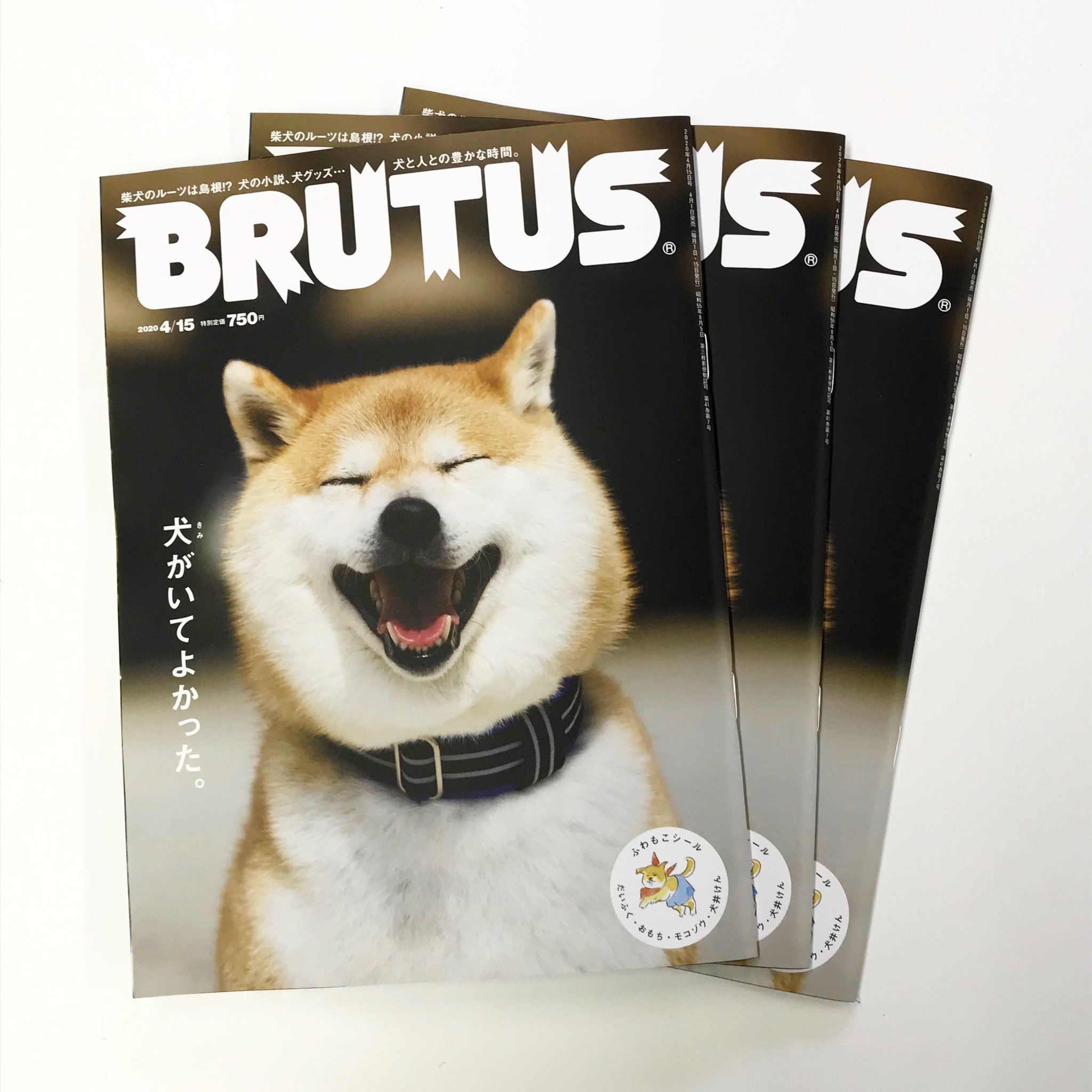 تويتر Brutus على تويتر 犬 特集 4月1日発売 編集部に早刷りが届きました 次号は 犬 きみ がいてよかった ビートたけしさん 氷川きよしさん 愛犬を語るとき 誰もが優しい顔になりました Brutus 犬がいてよかった 犬のいる暮らし T Co