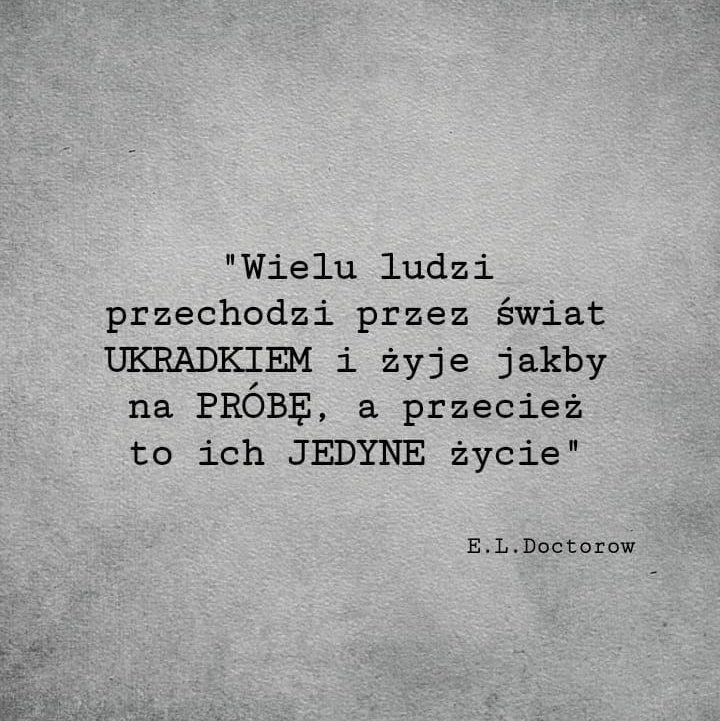 pancytatpl's tweet photo. https://t.co/Lo3tCZzdcp