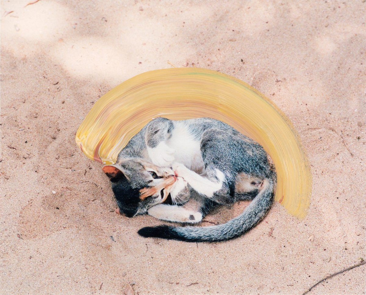 mixdevil66's tweet photo. The collaborative project of photographer #VasanthaYogananthan combines #photography and #painting in #HowlingWinds, the fifth installment of a seven-part photo book entitled #AMythofTwoSouls @chose_commune https://t.co/UHXoATHLzS https://t.co/Sjx1KHPiJZ