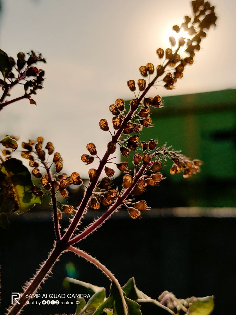 aziz_parvez7's tweet photo. Utilising this lockdown to furnish some of my skills.
#floatingobject #macroshots  #CreateAtHome #StayAtHome #Shotonrealme
@MadhavSheth1 @FrancisRealme @heysiddi @harisree24 @sp_patil1 @NeonVikash @AmlanPati @nidhi_bhatia @MaitreyiTweets @awaraclicker @rohitpawane1 @realmemobiles https://t.co/ri6RYLVdVj
