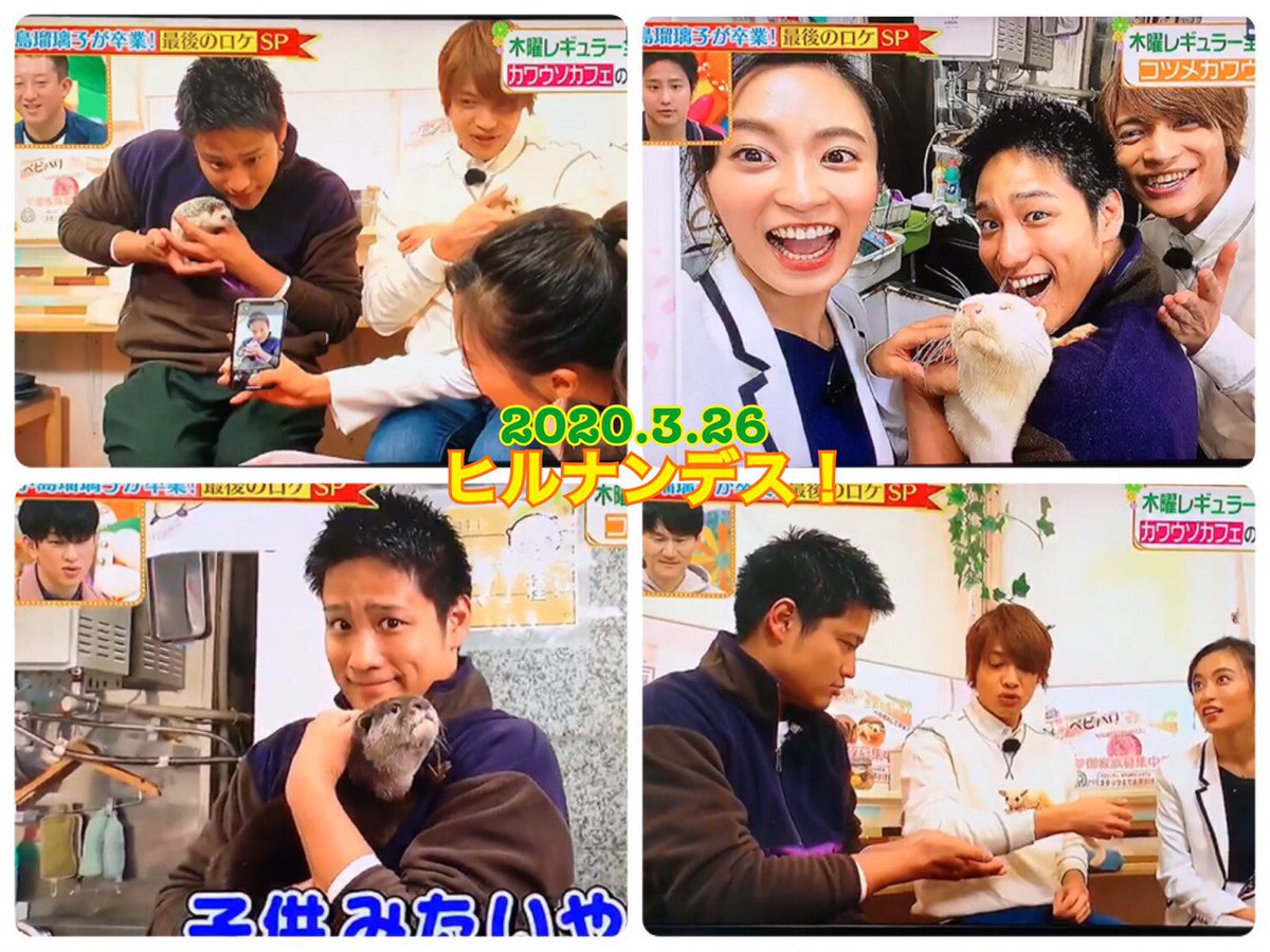 コツメイト En Twitter 3月26日にヒルナンデス にてコツメイトが紹介されました 皆さんにお名前をつけてもらったコジくん ルリちゃん コツメイト コツメカワウソ カワウソ かわうそ 池袋 可愛い Ikebukuro Otter Animals Otterlife 小島瑠璃子 さん