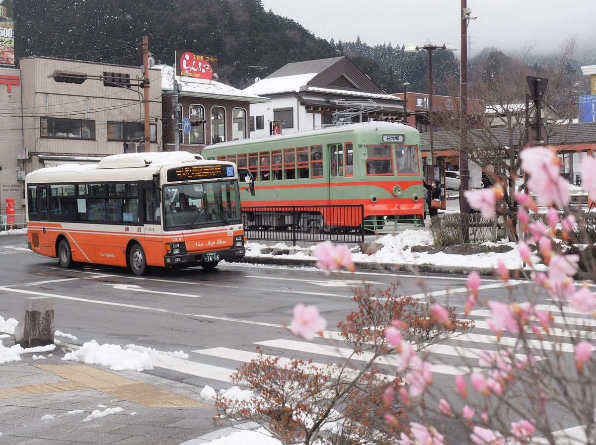 mataaari25's tweet photo. 東武鉄道・日光軌道線
駅前へ帰ってきた東武100形

昭和28年生まれで昭和43年に廃止
その後の岡山電気軌道で活躍した期間のほうが長かったのですな

現在も同僚が岡山で活躍しているのは嬉しい所

チロリン村など保存や移転に尽力され方々に感謝ですm(_ _)m https://t.co/jONEoImuCa