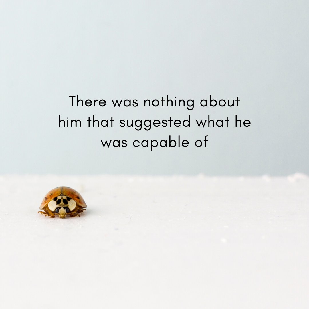 thekurious_'s tweet image. WEEK 2! Day 8. Small but mighty. 🐞

You're doing extremely well with these chaps. Keep them coming so you smash these incoming #writingcompetitions 

#lockdown #KQCC #amwriting #sheffield #writingcommunity #writingprompts #sheffieldissuper #writinglife #sheffieldwriters