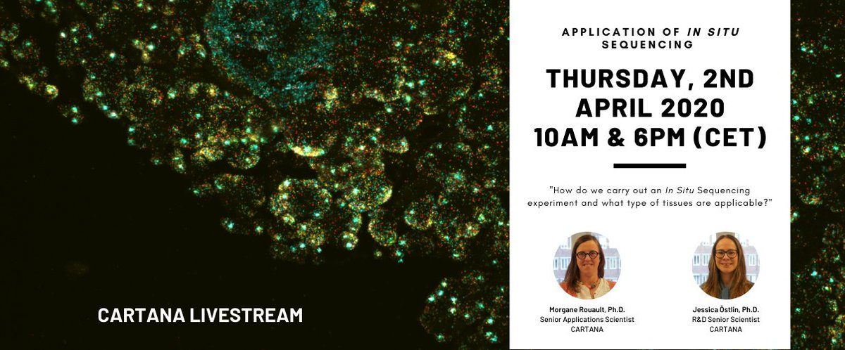 CARTANAbio's tweet photo. Ever wonder what goes on during an In Situ Sequencing experiment? Here's your chance to find out more during our live stream on "Application of In Situ Sequencing". 
Register Now:
2nd April (Thurs), 10AM (CET): https://t.co/gr42rJX7Pn &amp; 6PM (CET): https://t.co/nSy6ipnXrn #ISS https://t.co/fkDDKKrRcG