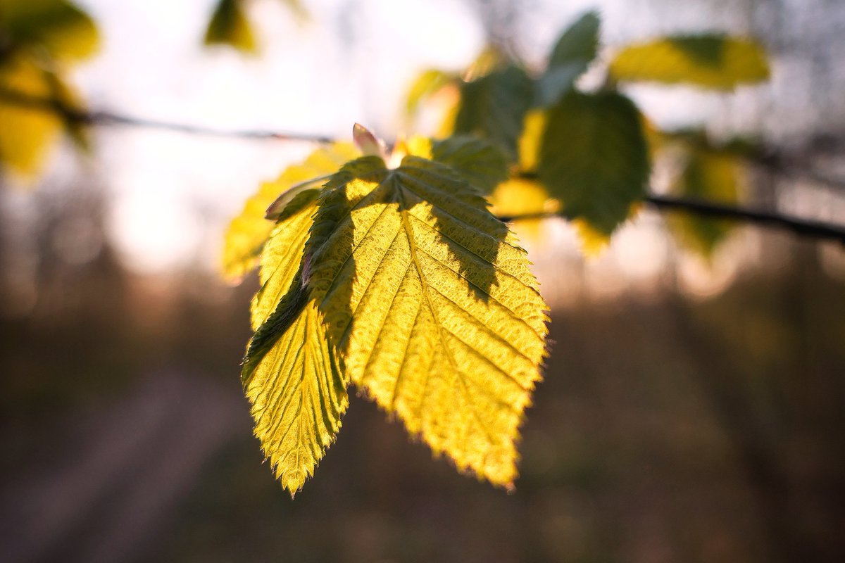 Vincent Gaudin tweet media