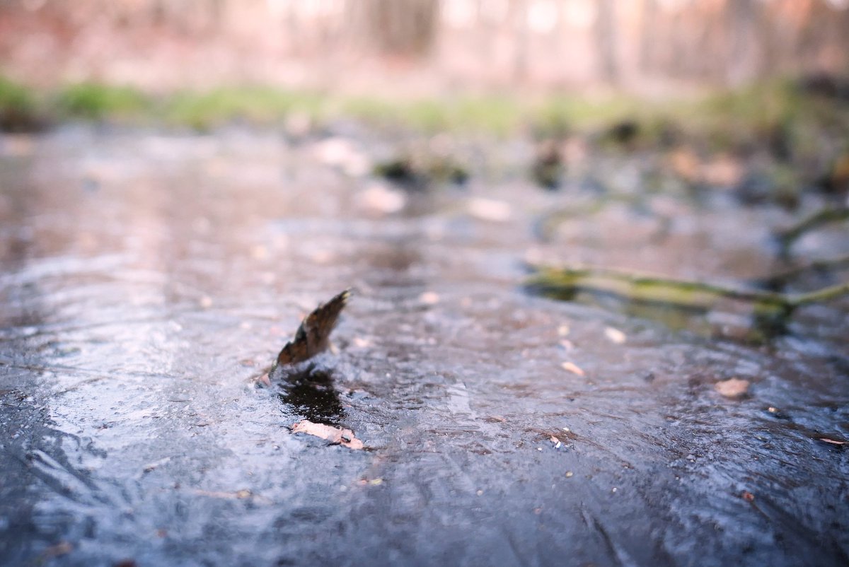 Vincent Gaudin tweet media