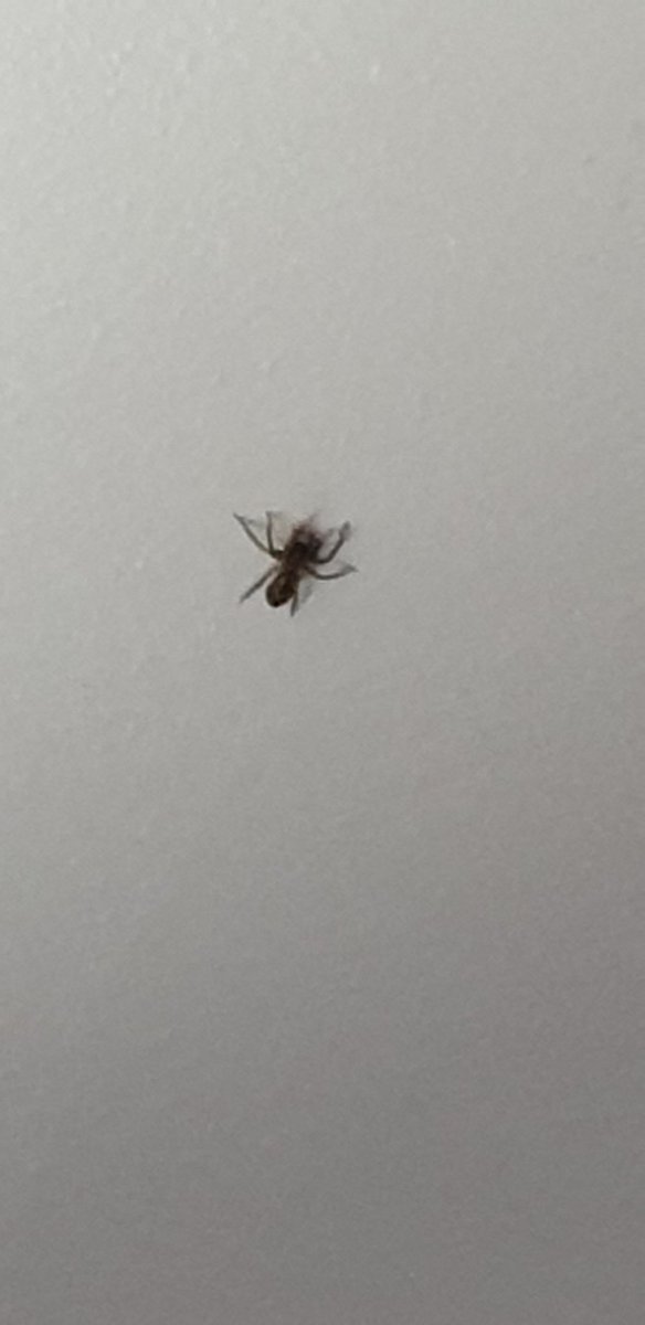 SpaceWolves6's tweet photo. My co-worker for today #StayAtHome https://t.co/GBJrqP7di4