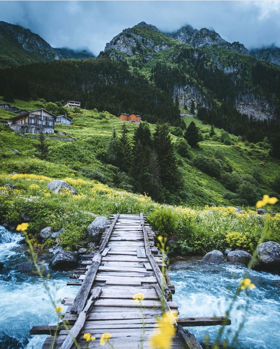cometoturkeycom's tweet photo. 📸 sozyitimii 👏🏻👏🏻👏🏻 #cometoturkey #elevityaylası #rize #turkey  #lovely #tagforlikes #look #instagoods #colorful #smile #nature #blue #life #photography #naturephotography #photo #photos #amazing #followme #beautiful #day #travel #travelphotography #traveling #visiting #instago https://t.co/apahnrqpeZ