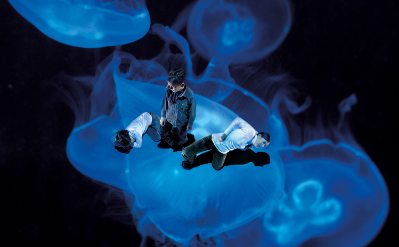 mercatflors's tweet photo. Dia 18 de #confinament
👨🍳 MENÚ DEL DIA
@Israel_Glv & @AkramKhanLive - #Torobaka (complet)
+ Retrat coreogràfic del bailaor flamenco
👨🍳 MENÚ FAMILIAR
@CompagniaTPO - 'Bleu!' (complet)
Gaudeix l'àpat i comenta a #NoEtDesballis !!
https://t.co/RVTzGqINcM
#dansa https://t.co/42xG9PU7Qy