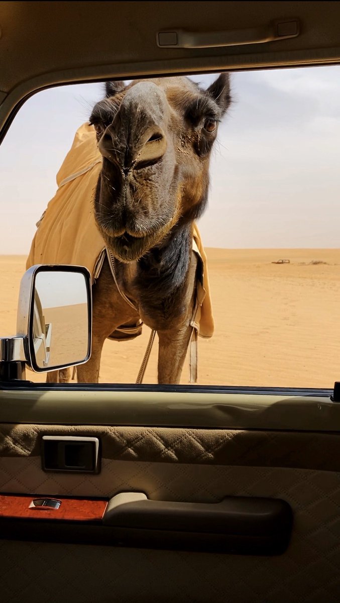 غاليه و أغلى سنادً وطت فوق التراب :(