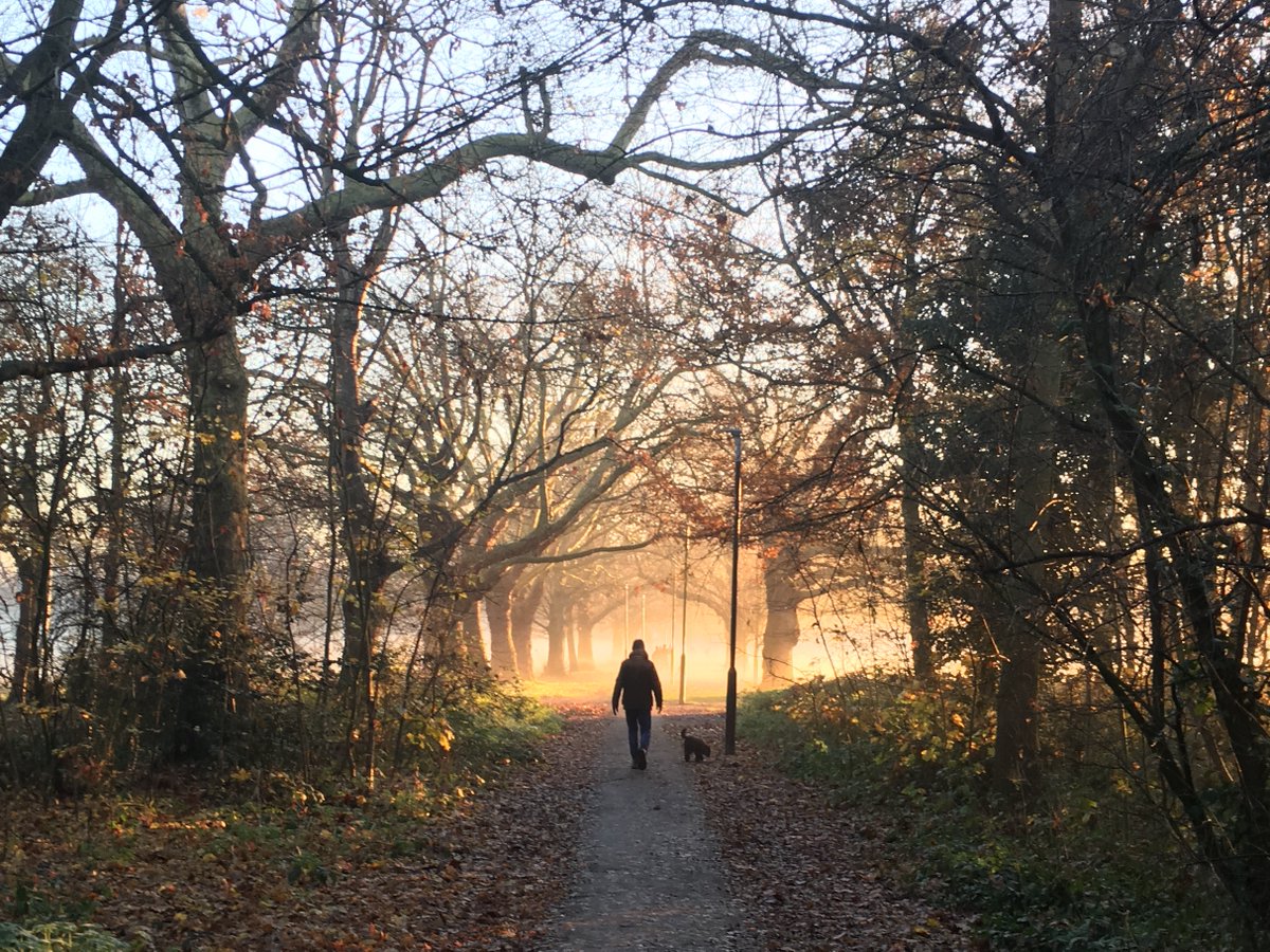 We ask those who love South London to join the challenge to publish a picture of South London. Just a picture, no description. The goal is to flood Twitter with positive photos instead of negative. Copy the text, attach a picture and see beautiful pictures. #PictureOfSouthLondon