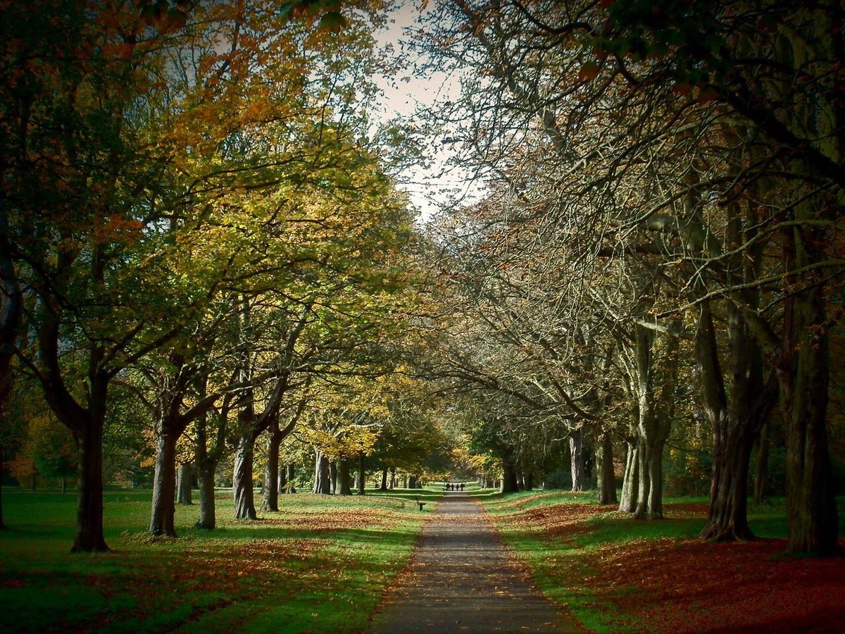 YayDayz's tweet photo. Scientifically proven to help the mind and the body. #TakeAWalkInTheParkDay https://t.co/T4HZQCF4Wx