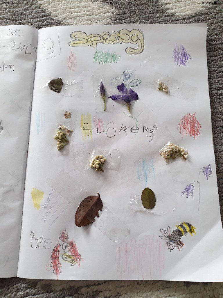 RecBCACT's tweet photo. Some fabulous home learning being sent in from children today! Well done Reception, keep it up📝🌈✨ #learningfromhome #spring @RecBCALC https://t.co/1ogynKa7i8