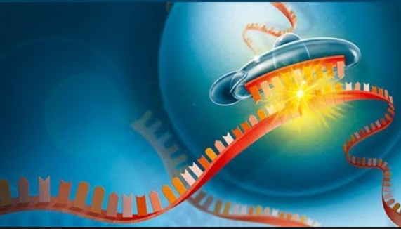 clinicogenomics's tweet photo. #RNA_silencing for treatment of different diseases inherited from parent or acquired disease.
Submit your submission here https://t.co/VMoI2mT1bT
or Email us: clingenom@peerreviewedjournal.org
To know more about Clinical Genomics visit https://t.co/j6m7Ucl85Y https://t.co/9bMb67wzLG