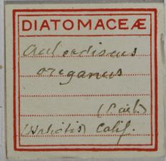 Herbarium Manchester tweet media