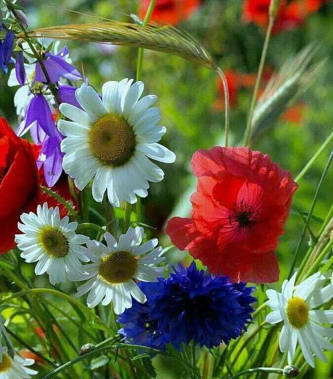 ^livewireLois tweet media