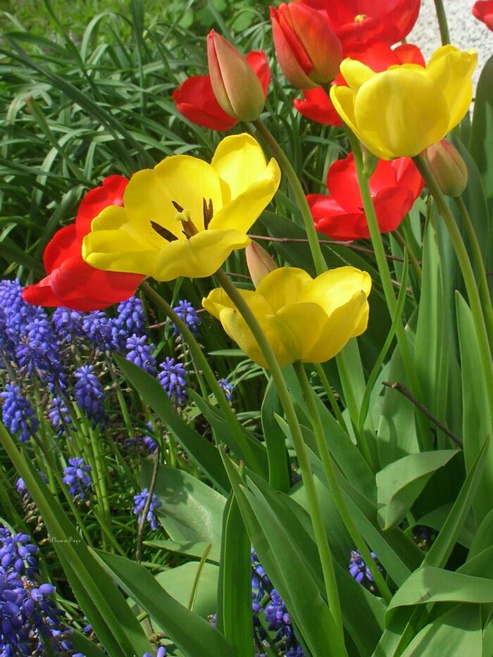 ^livewireLois tweet media