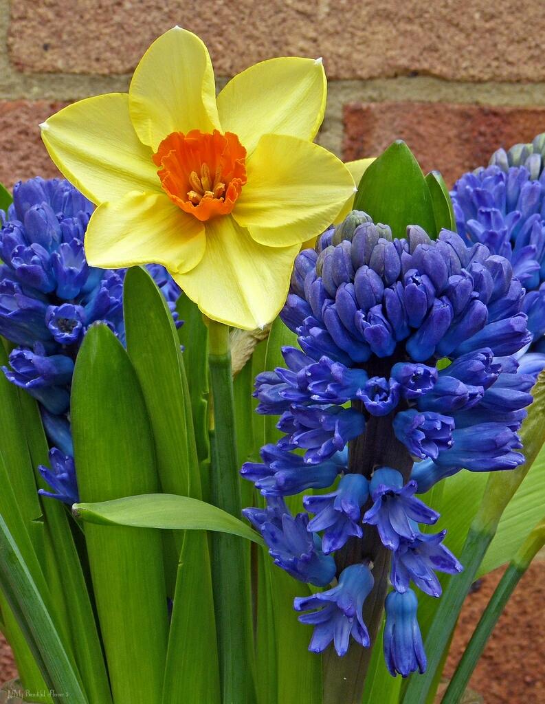 ^livewireLois tweet media