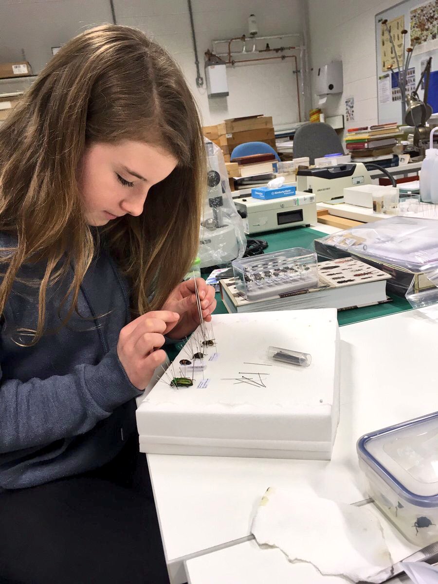 Q: Any advice you’d give an aspiring Entomologist?A: Keep pursuing your interest! The world needs more entomologists! My top tips would be:Develop your identification skills (1/2)