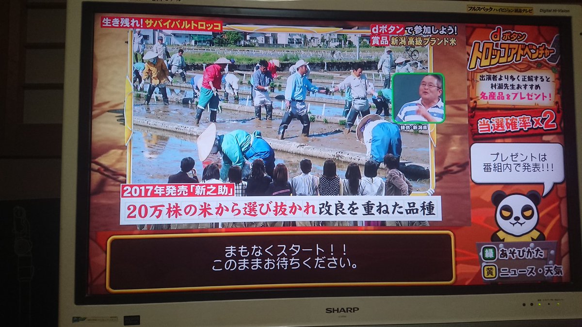 愛すクリーム على تويتر トロッコで完走した ネプリーグ パーセントバルーンバトル 当選確率x2 サバイバルトロッコアドベンチャー 新潟県高級ブランド米新之助 雛まつり 人々