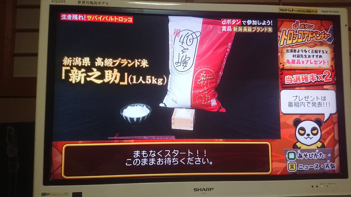 愛すクリーム على تويتر トロッコで完走した ネプリーグ パーセントバルーンバトル 当選確率x2 サバイバルトロッコアドベンチャー 新潟県高級ブランド米新之助 雛まつり 人々