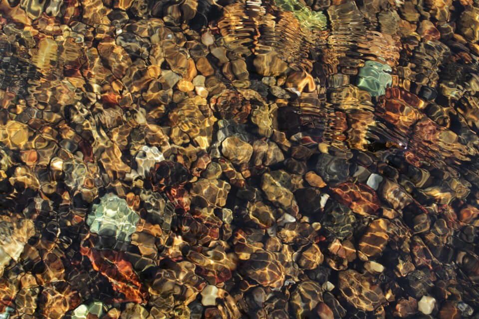 Loin de son université de Cambridge, dans le jardin de la demeure où Isaac Newton était confiné pendant la terrible Grande Peste de Londres (1655 et 1656) , se trouvait… un pommier!#perigord #valleedeladordogne #francebleuperigord. Alors à CanoSphere, on observe...