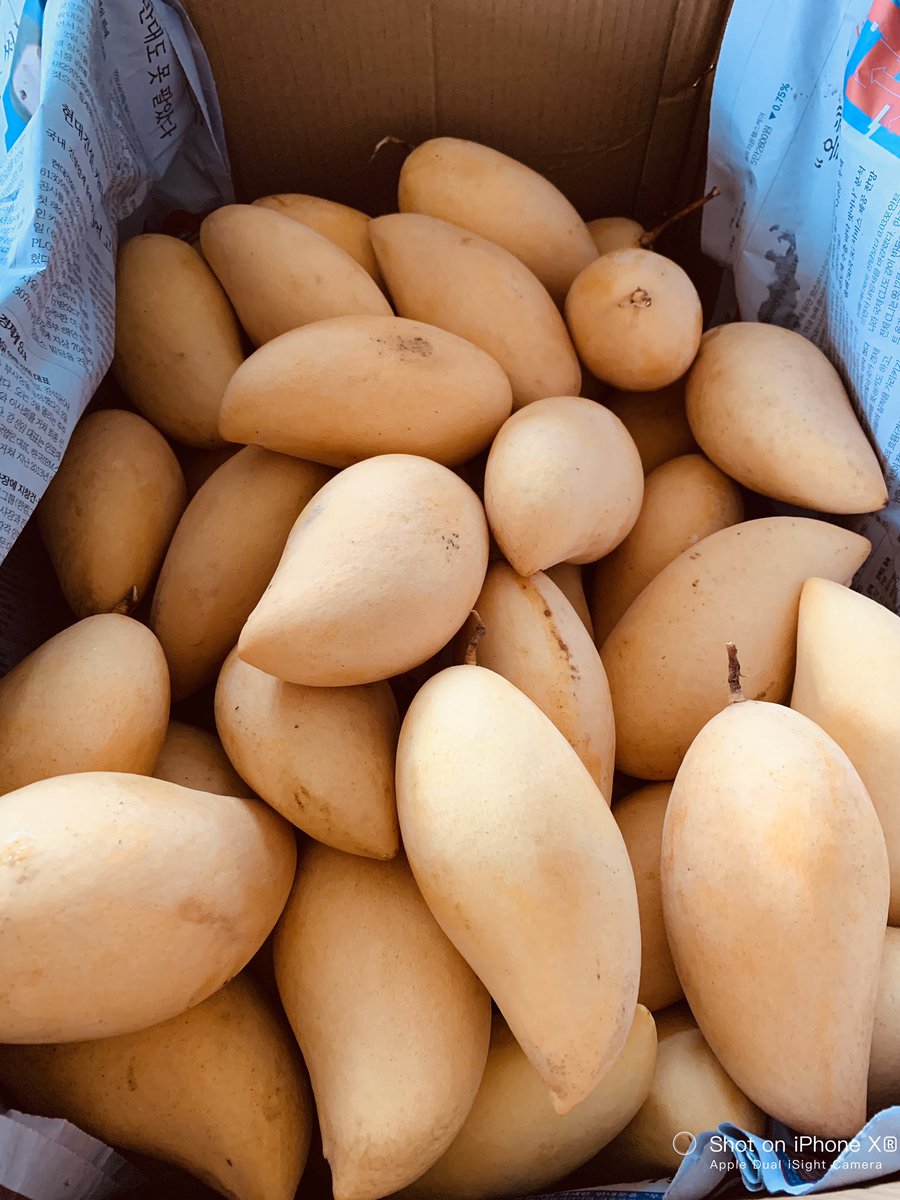 Palilicious_'s tweet photo. Hi assalamualaikum guys ! Saya ingin gunakan kuasa twitter lagi untuk promote perniagaan abah dan mak saya . Saya menyediakan delivery buah-buahan ke rumah terus di kawasan Labis . Luar kawasan Labis boleh dipertimbangkan. Ini adalah thread ✨ https://t.co/a4Wx0mV0ha