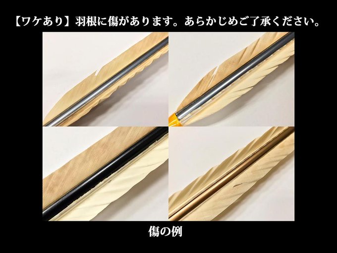 矢のtwitterイラスト検索結果