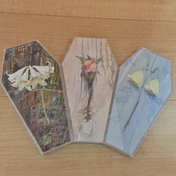 画像 / Picture