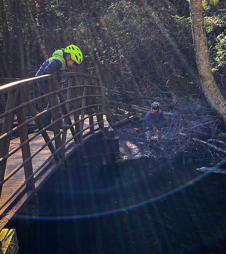 uprunningguelph's tweet image. Embracing nature’s natural classroom🍃🍂🌿🍁 #SoloButSocial #TakingStepsTogether #ApartButTogether #StillWeConnect