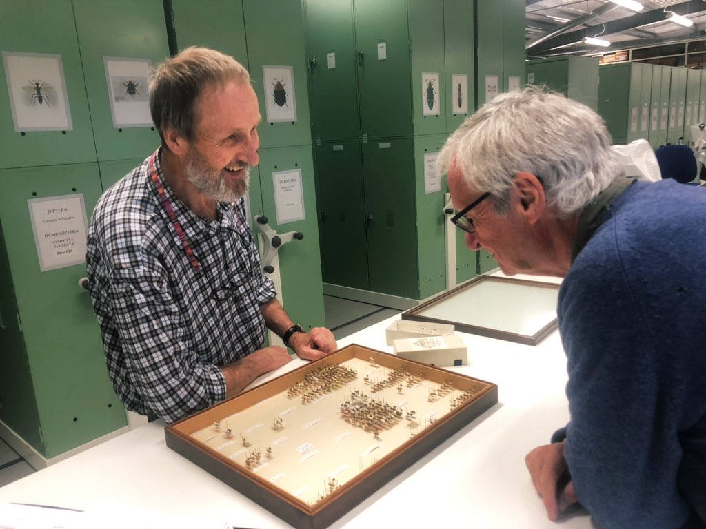 Q: Is there anything specifically about the NMS collections that first attracted you to working here?A: The history & diversity of the collectionsThe team of expert entomologists Opportunity for international collaboration