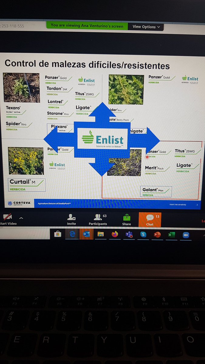 GuRicci's tweet photo. Malezas difíciles? Acá están las soluciones que @CortevaARG tiene para ellas.
Rye grass #Ligate #Titus
Conyza #Pixxaro #Texaro
Nabo #CurtailM #Enlist
Gramíneas #GalantMaX #Merit https://t.co/r5NroNDsqZ