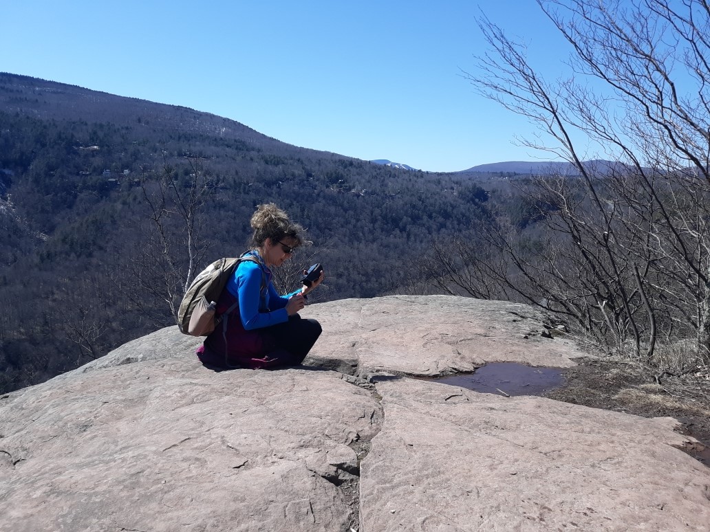 SUNY_cgcc's tweet photo. Geralylnn Demarest, Professor, Librarian, and Chairperson of Library and Media Services at C-GCC shows us how to #GoBigAtHome!
#cogreenecares #showusyourhomeoffice #catskills #greenecountyny https://t.co/XjJSb6uq3R