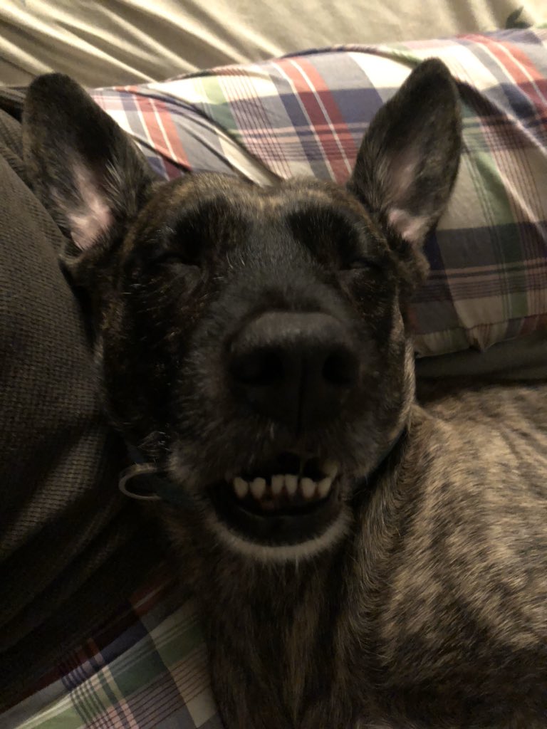 ellelljaytoo's tweet image. #MyPerfectVacationIncludes family.