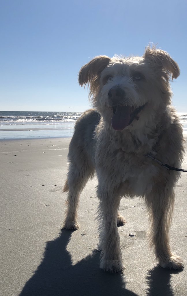 ellelljaytoo's tweet image. #MyPerfectVacationIncludes family.