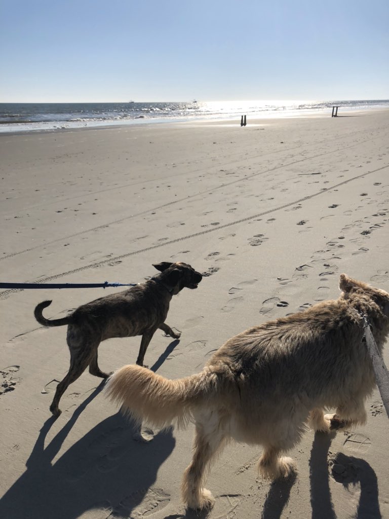 ellelljaytoo's tweet image. #MyPerfectVacationIncludes family.