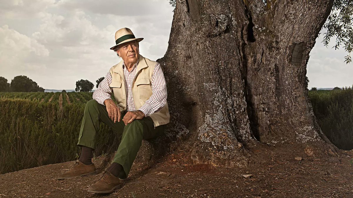 Marques De Grinon Marquesdegrinon Twitter