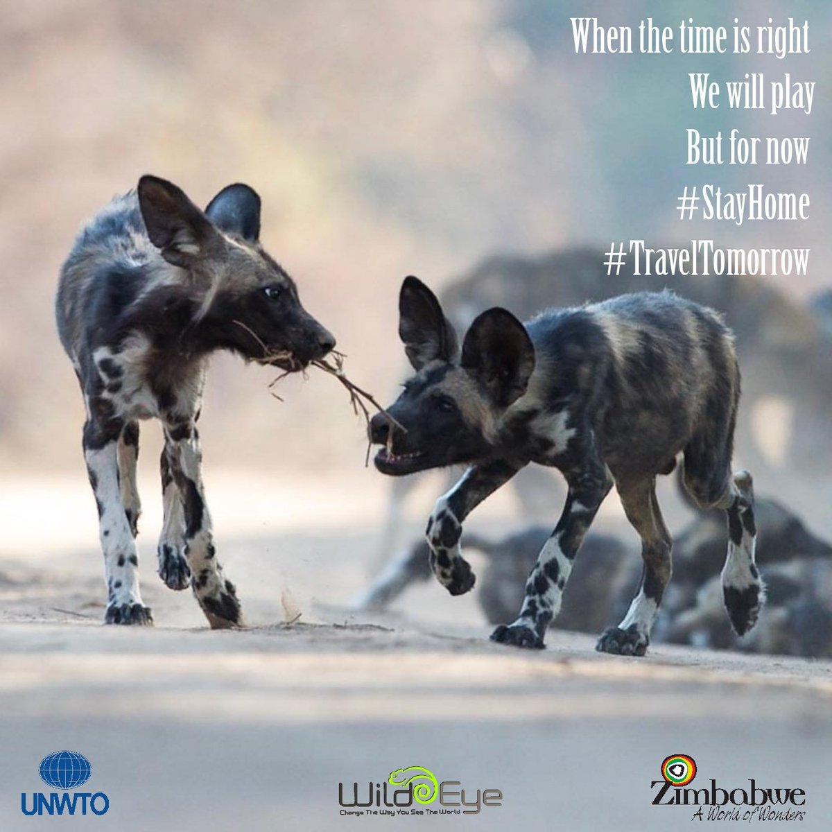 Zimbabwe Tourism Authority tweet media