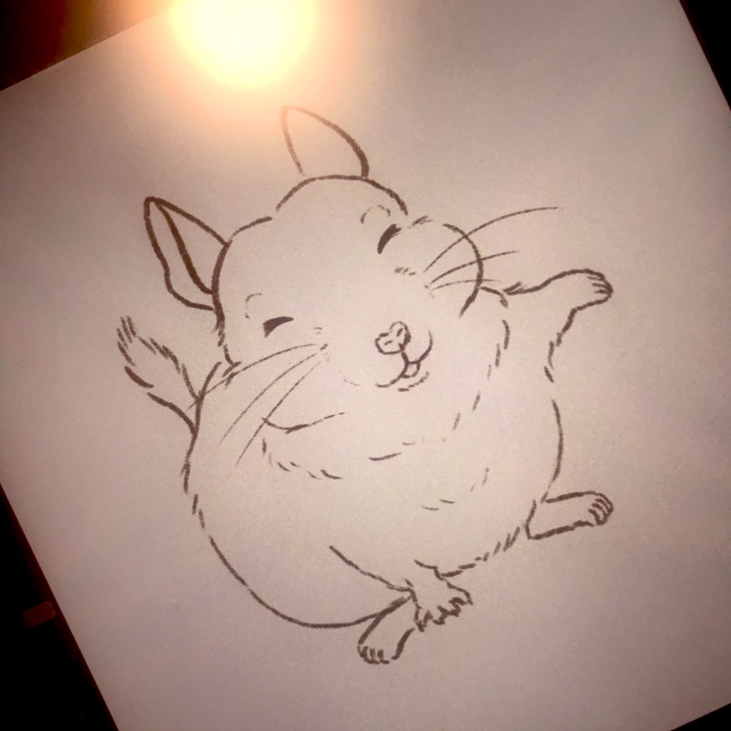 pokojir0's tweet photo. くりきんに「志村けんさん��くなっちゃったんだよ」ってカイカイしながら話したけど、くりきんはニコニコしててデグーはほんとに癒しだなと思いました。
デグーの可愛さが伝わりますようにと久々にデグーイラスト描いてます✍
#デグー https://t.co/OitKSLwFJU