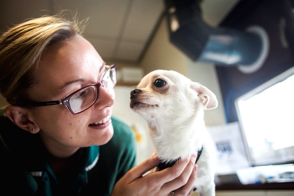 TogetherAnimals's tweet photo. Our members carry out lifesaving work helping thousands of animals who are homeless, neglected, or suffering from injury or disease 💻 https://t.co/CI4YC14WPM #charity #animalwelfare #MondayMotivaton https://t.co/NpLMjywrFI