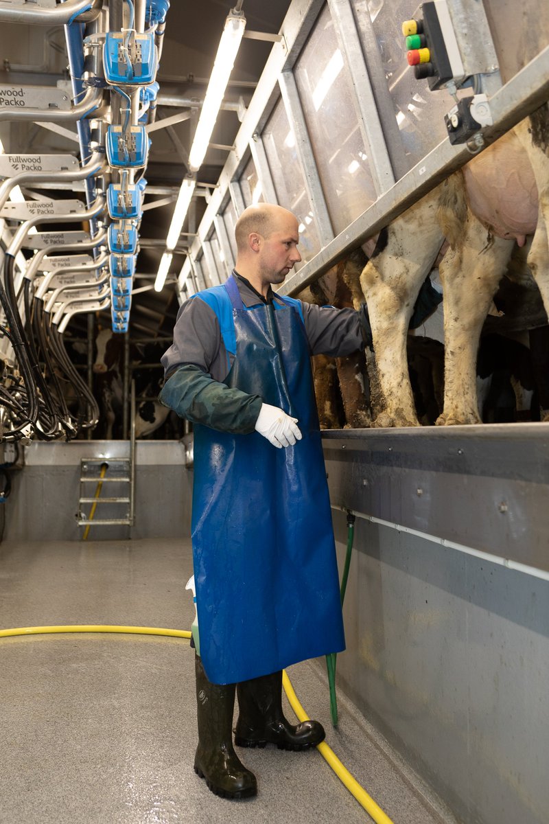 FullwoodPacko's tweet photo. Notre Quick-S offre une meilleure rentabilité à votre ferme grâce à un positionnement rapide des vaches, moins de déplacements dans la stalle pour l'éleveur et une construction robuste.
Contactez Fullwood Packo et #findyourperfect Stalle Quick-S
https://t.co/jX4PO0P2WW https://t.co/1oBipsuITx
